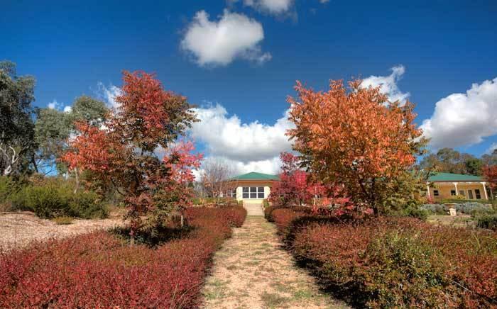 Accommodation Creek Cottages & Sundown View Suites Ballandean Екстериор снимка